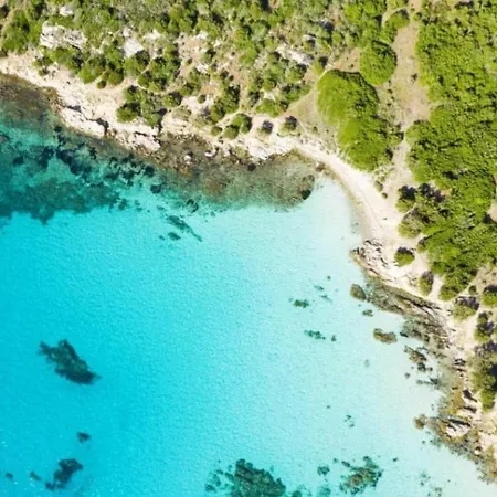 Blue * Portisco